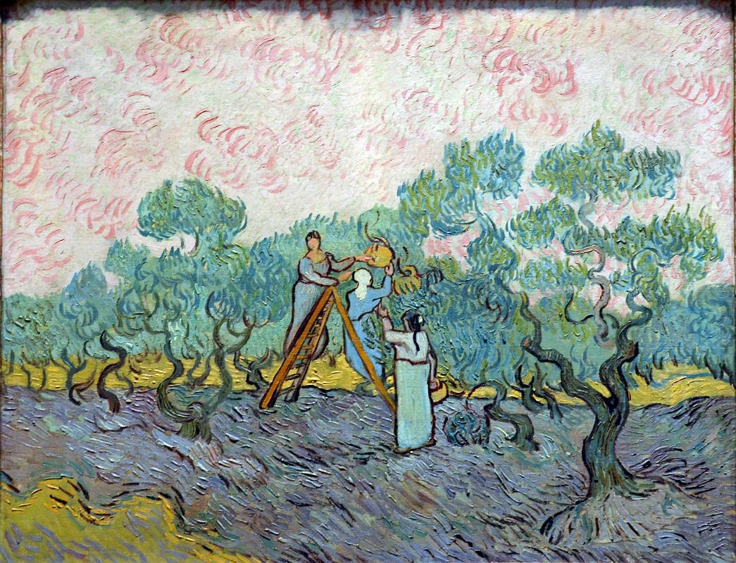 13 Women Picking Olives - Vincent van Gogh 1889 - New York Metropolitan Museum of Art